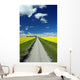 Country Road With Blooming Canola Fields On Both Sides Wall Mural