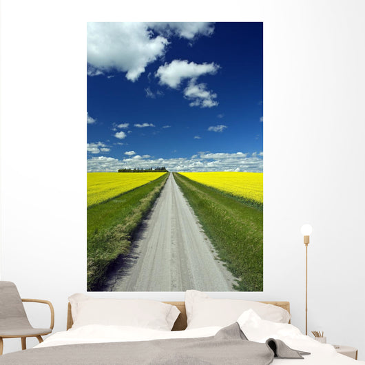Country Road With Blooming Canola Fields On Both Sides Wall Mural