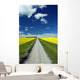 Country Road With Blooming Canola Fields On Both Sides Wall Mural