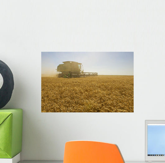 A Combine Harvester Works A Field Of Winter Wheat Wall Mural