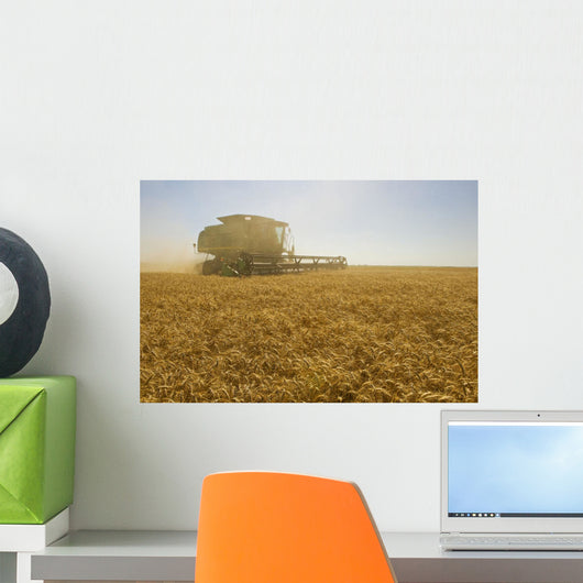 A Combine Harvester Works A Field Of Winter Wheat Wall Mural