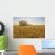 A Combine Harvester Works A Field Of Winter Wheat Wall Mural