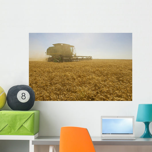 A Combine Harvester Works A Field Of Winter Wheat Wall Mural