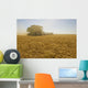 A Combine Harvester Works A Field Of Winter Wheat Wall Mural