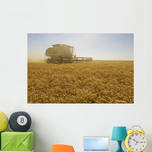 A Combine Harvester Works A Field Of Winter Wheat Wall Mural