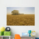A Combine Harvester Works A Field Of Winter Wheat Wall Mural