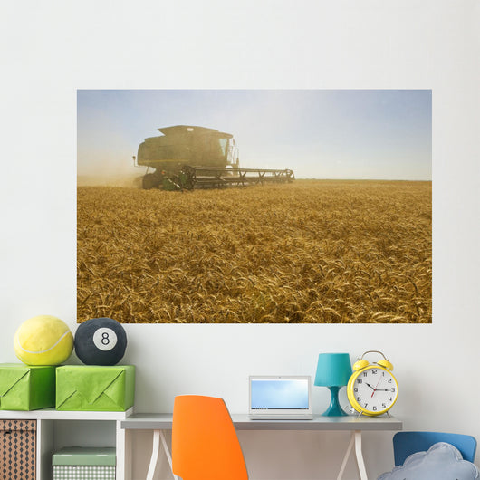 A Combine Harvester Works A Field Of Winter Wheat Wall Mural