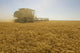 A Combine Harvester Works A Field Of Winter Wheat Wall Mural