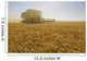 A Combine Harvester Works A Field Of Winter Wheat Wall Mural