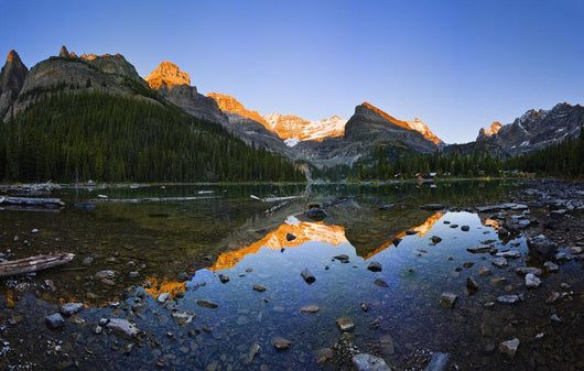 Lake O'hara And Mountains At Sunset Wall Mural