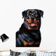 Rottweiler Wall Decal