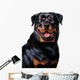 Rottweiler Wall Decal