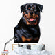 Rottweiler Wall Decal