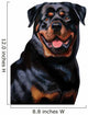 Rottweiler Wall Decal