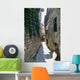 Narrow Street Wall Mural