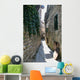 Narrow Street Wall Mural