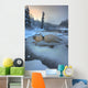 Morley River In Winter Near Teslin, Yukon Wall Mural