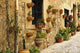 Valldemossa Wall Decal