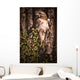 Hawk On A Post, Saskatoon, Saskatchewan Wall Mural