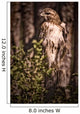 Hawk On A Post, Saskatoon, Saskatchewan Wall Mural