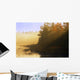 Mist At Sunrise, Soldier Lake, Nova Scotia Wall Mural