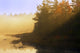 Mist At Sunrise, Soldier Lake, Nova Scotia Wall Mural