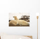 Polar Bears, Mother And Two Cubs, Churchill, Manitoba Wall Mural