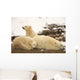 Polar Bears, Mother And Two Cubs, Churchill, Manitoba Wall Mural