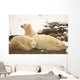 Polar Bears, Mother And Two Cubs, Churchill, Manitoba Wall Mural