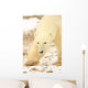 Polar Bear, Churchill, Manitoba Wall Mural
