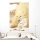 Polar Bear, Churchill, Manitoba Wall Mural