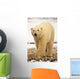 Polar Bear, Churchill, Manitoba Wall Mural