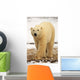 Polar Bear, Churchill, Manitoba Wall Mural