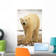Polar Bear, Churchill, Manitoba Wall Mural
