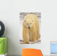 Polar Bear, Churchill, Manitoba Wall Mural