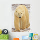 Polar Bear, Churchill, Manitoba Wall Mural