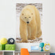 Polar Bear, Churchill, Manitoba Wall Mural