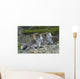 Stone Mountain Sheep, Stone Mountain Provincial Park, British Columbia Wall Mural