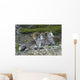 Stone Mountain Sheep, Stone Mountain Provincial Park, British Columbia Wall Mural