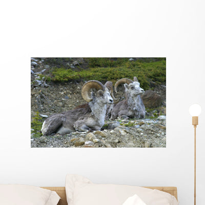 Stone Mountain Sheep Stone Wall Mural shown on a wall