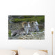 Stone Mountain Sheep, Stone Mountain Provincial Park, British Columbia Wall Mural