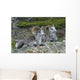Stone Mountain Sheep, Stone Mountain Provincial Park, British Columbia Wall Mural
