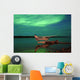 Aurora Borealis Or Northern Lights Wall Mural
