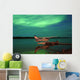 Aurora Borealis Or Northern Lights Wall Mural