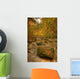 Stream In Autumn, Rock Glen Conservation Area, Near Arkona, Ontario Wall Mural