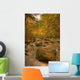 Stream In Autumn, Rock Glen Conservation Area, Near Arkona, Ontario Wall Mural