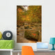 Stream In Autumn, Rock Glen Conservation Area, Near Arkona, Ontario Wall Mural