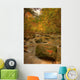 Stream In Autumn, Rock Glen Conservation Area, Near Arkona, Ontario Wall Mural