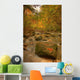Stream In Autumn, Rock Glen Conservation Area, Near Arkona, Ontario Wall Mural