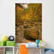 Stream In Autumn, Rock Glen Conservation Area, Near Arkona, Ontario Wall Mural